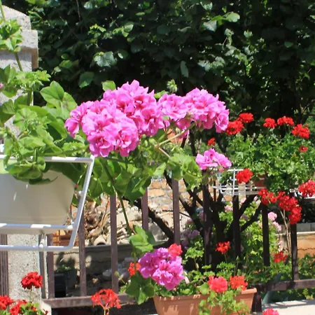 Apartament 7984a